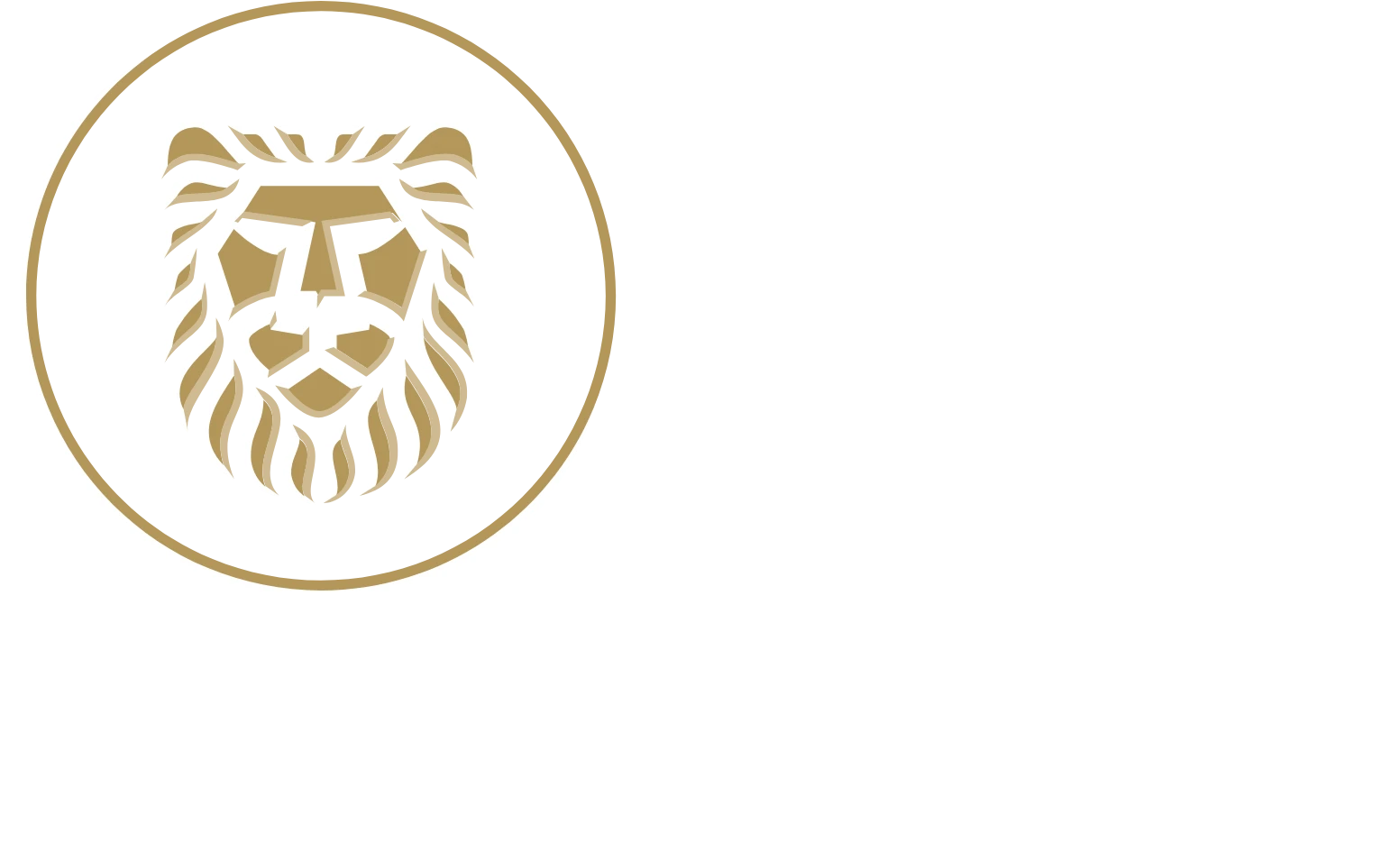 Logo Gold Fields